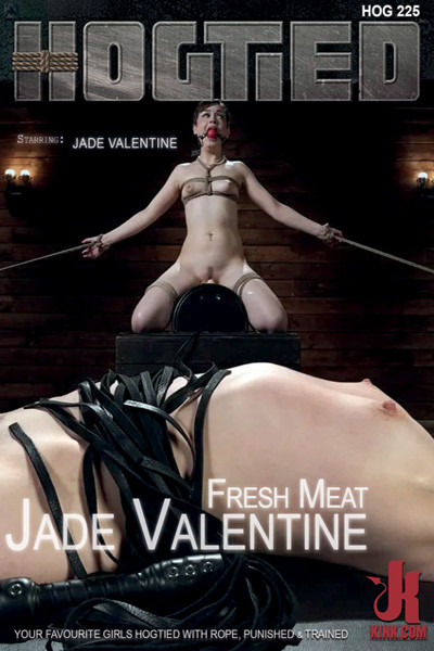 HOGTIED 225