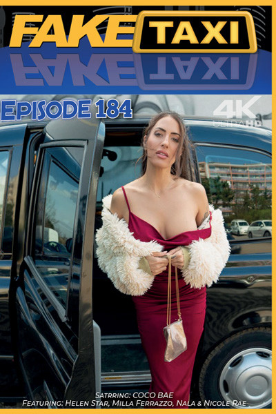 FAKE TAXI 184